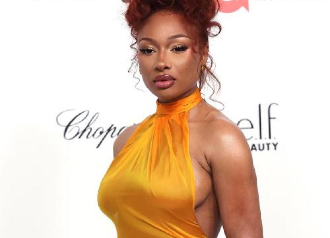 Megan Thee Stallion hospital