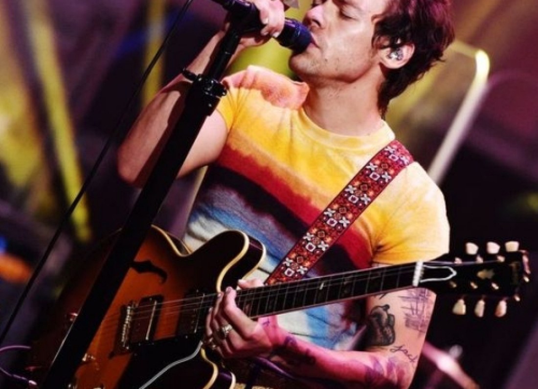 Harry Styles portrait