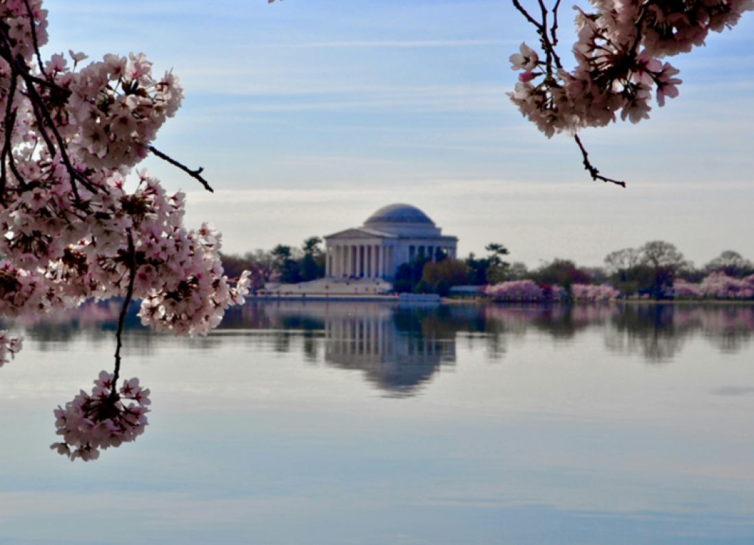 concert tickets lawsuit