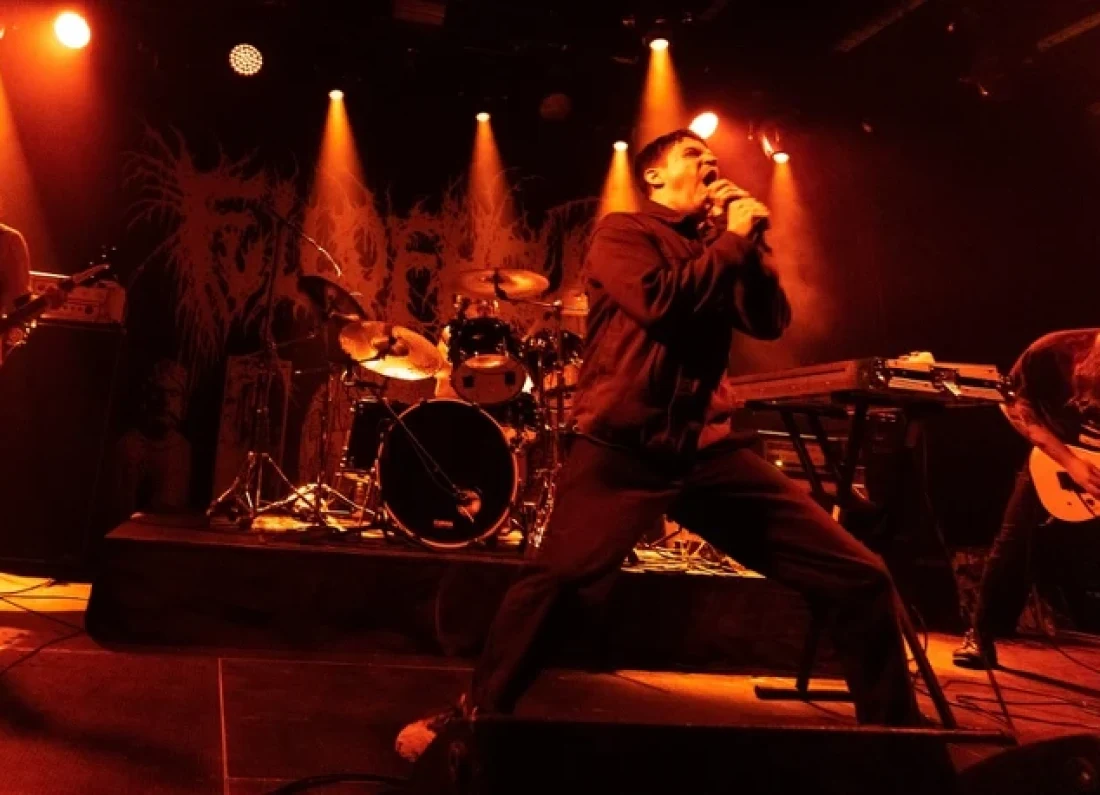 concert crowd mosh pit