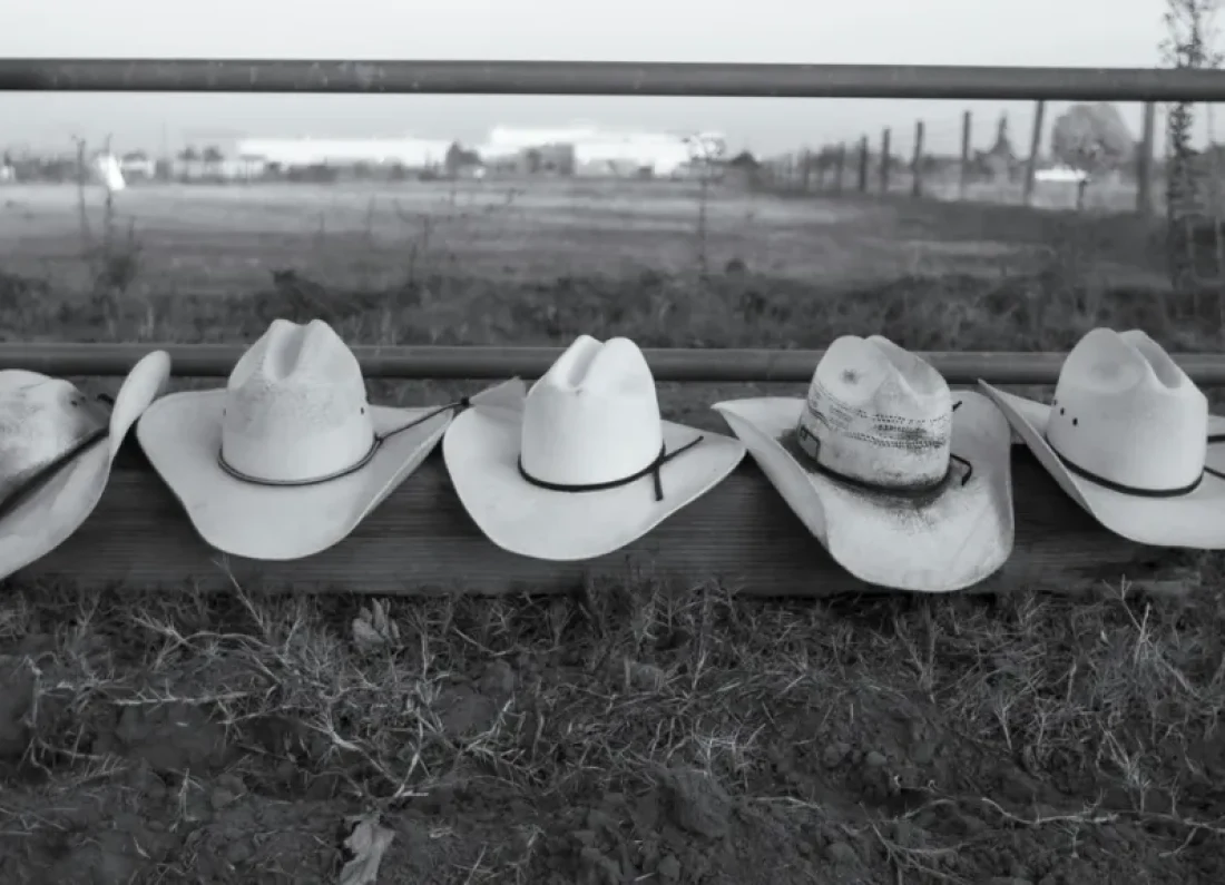 Stagecoach festival crowd evacuation