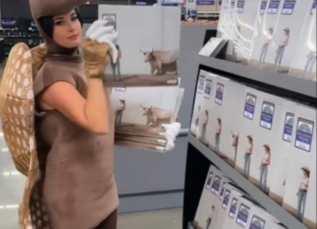 Kacey Musgraves armadillo costume