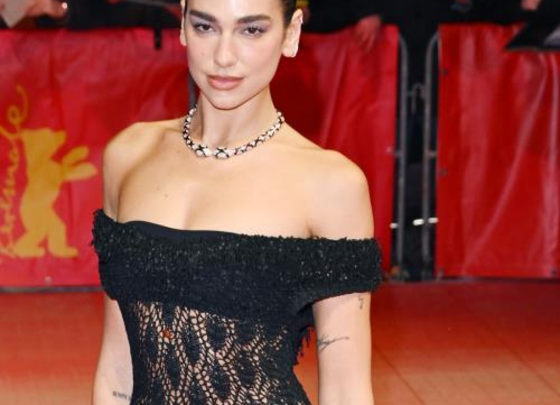 Dua Lipa court papers