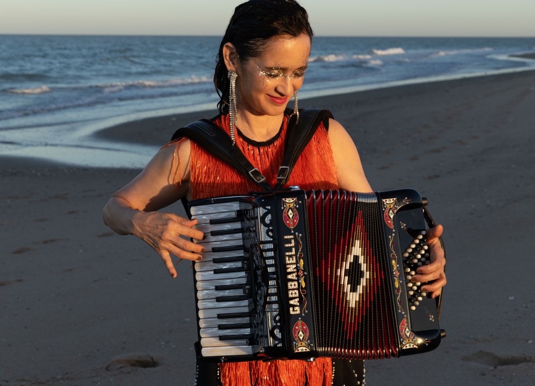 Julieta Venegas album cover