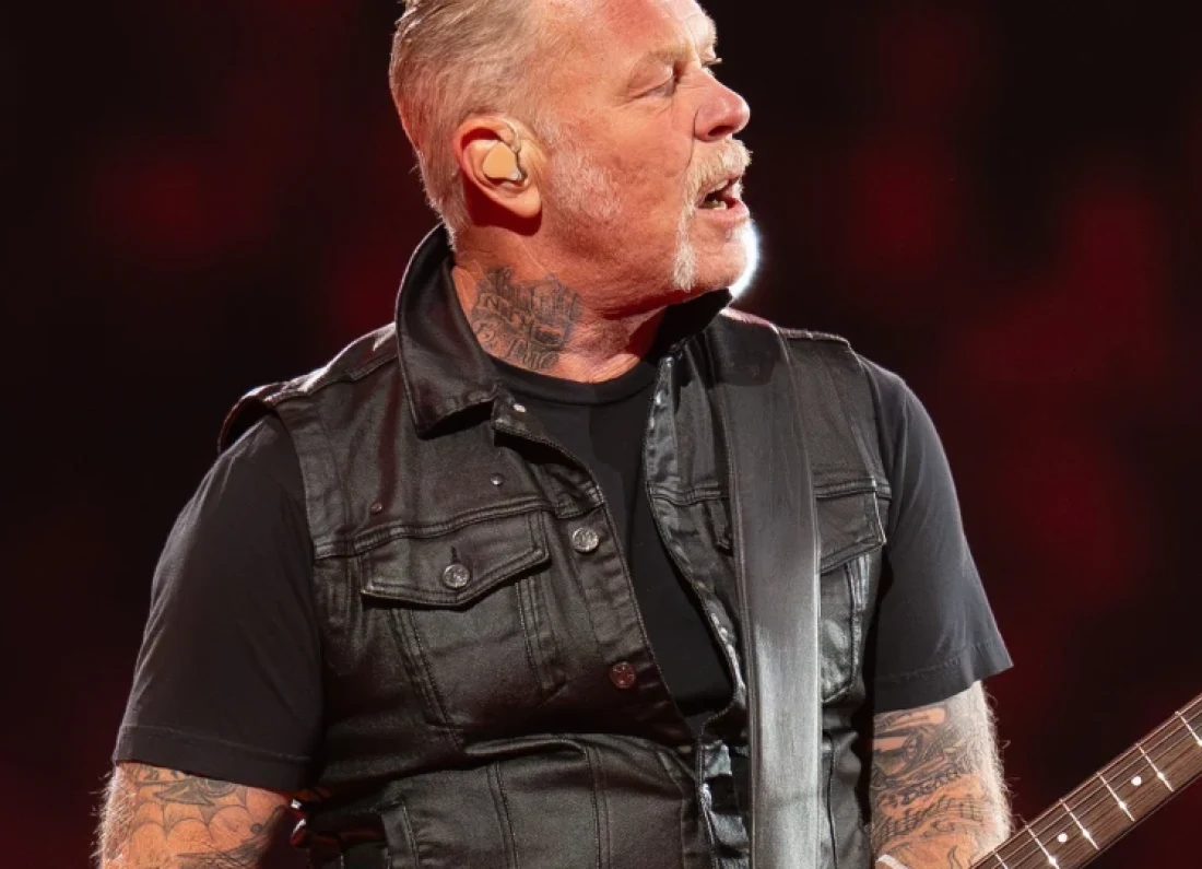 Metallica concert crowd