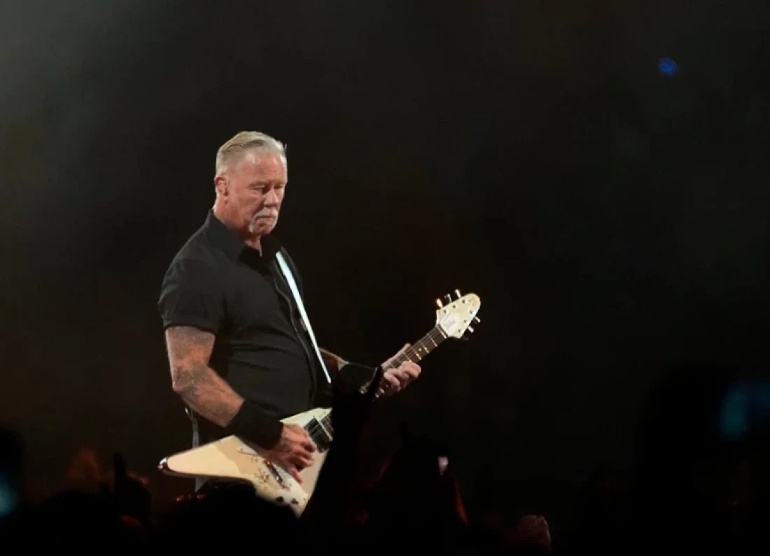 Metallica concert crowd