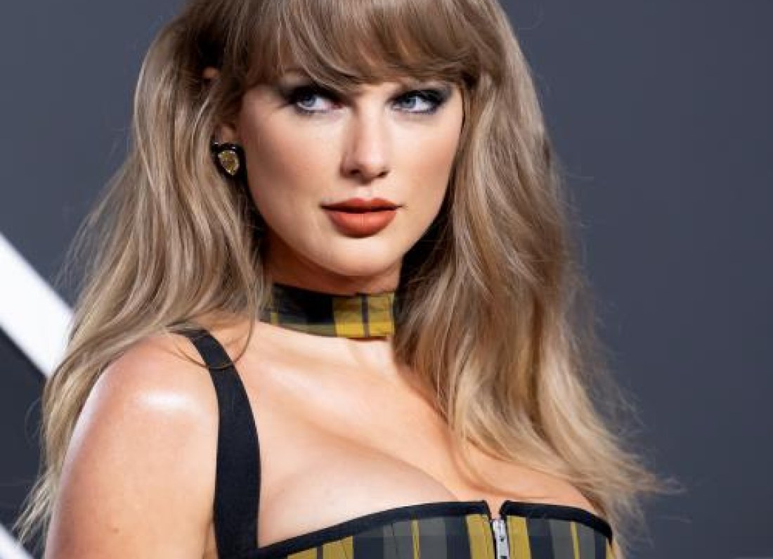 Taylor Swift concert security